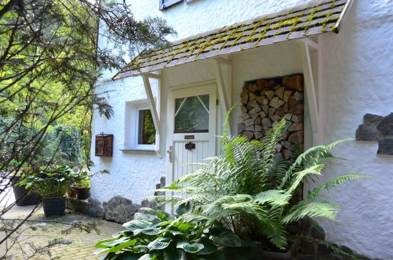 Birgits Landhaus Willingen Willingen  Exteriér fotografie