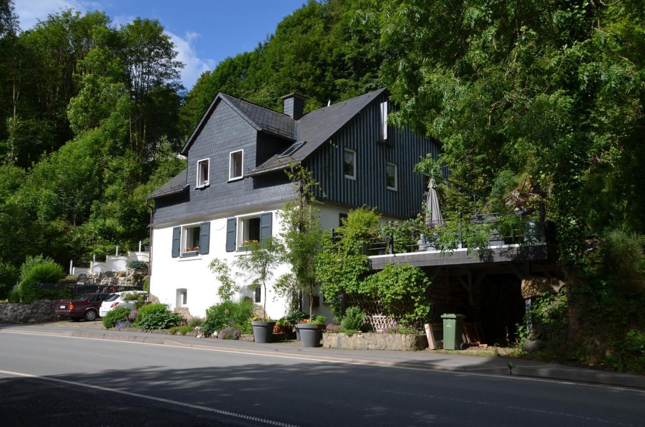 Birgits Landhaus Willingen Willingen  Exteriér fotografie